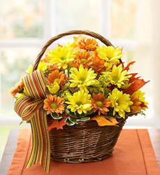 FALL DAISY BASKET ARRANEMENT from Clermont Florist & Wine Shop, flower shop in Clermont